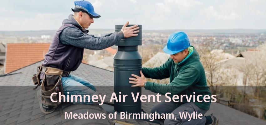 Chimney Air Vent Services Meadows of Birmingham, Wylie - TX