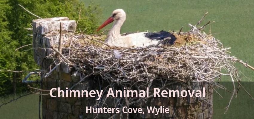 Chimney Animal Removal Hunters Cove, Wylie - TX
