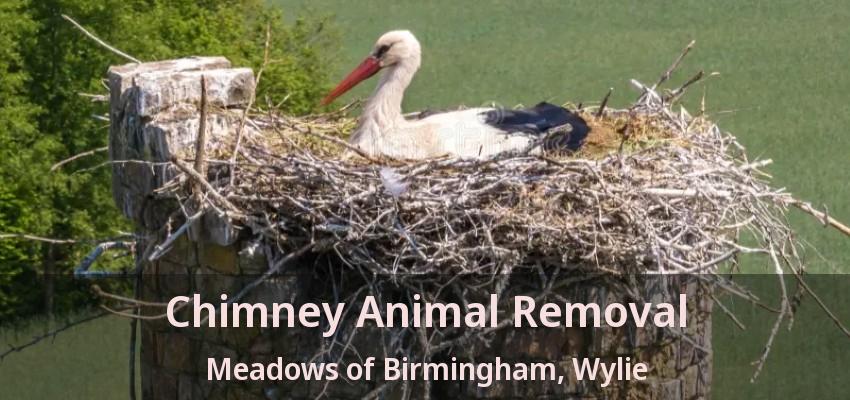 Chimney Animal Removal Meadows of Birmingham, Wylie - TX