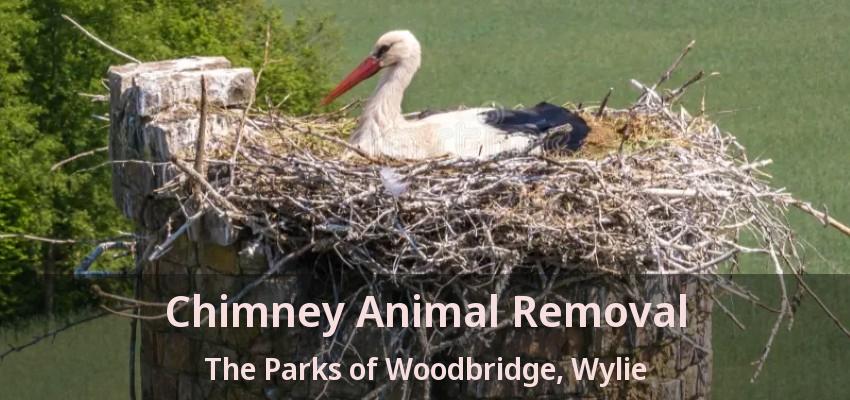 Chimney Animal Removal The Parks of Woodbridge, Wylie - TX