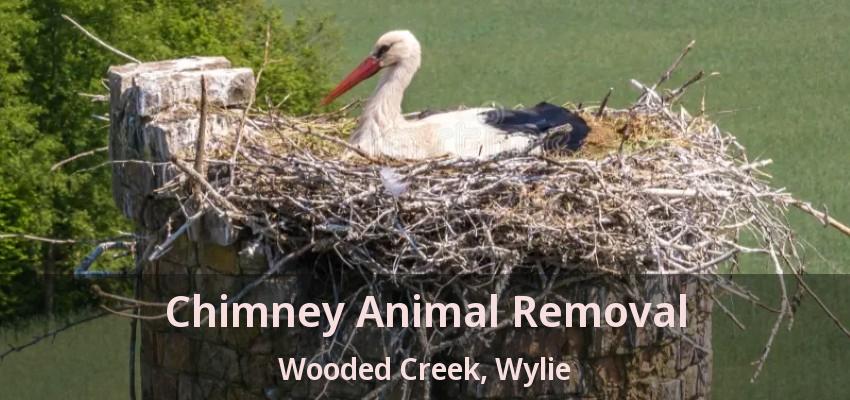 Chimney Animal Removal Wooded Creek, Wylie - TX