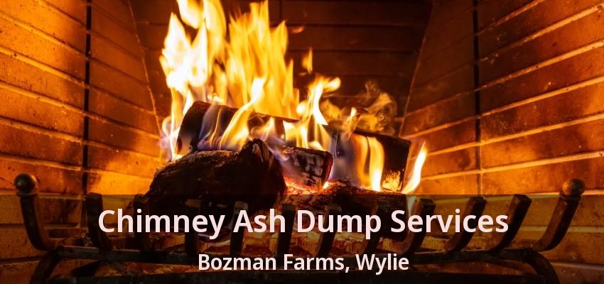 Chimney Ash Dump Services Bozman Farms, Wylie - TX