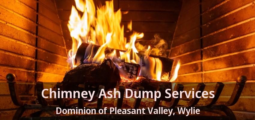 Chimney Ash Dump Services Dominion of Pleasant Valley, Wylie - TX