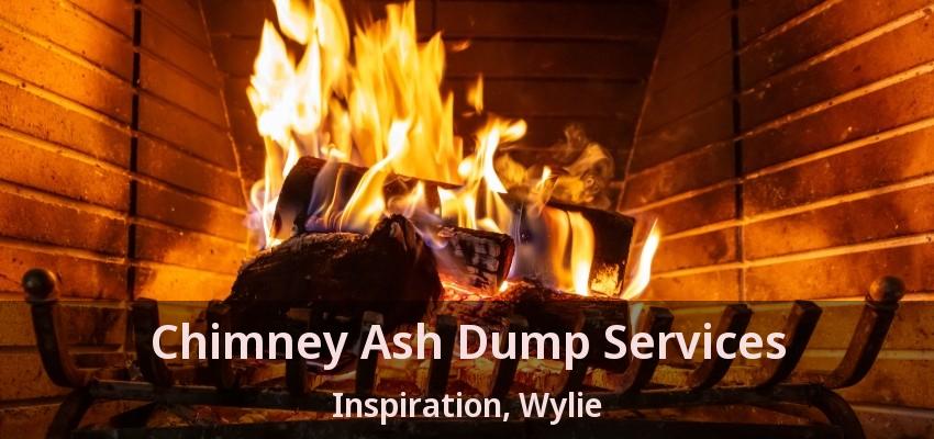Chimney Ash Dump Services Inspiration, Wylie - TX
