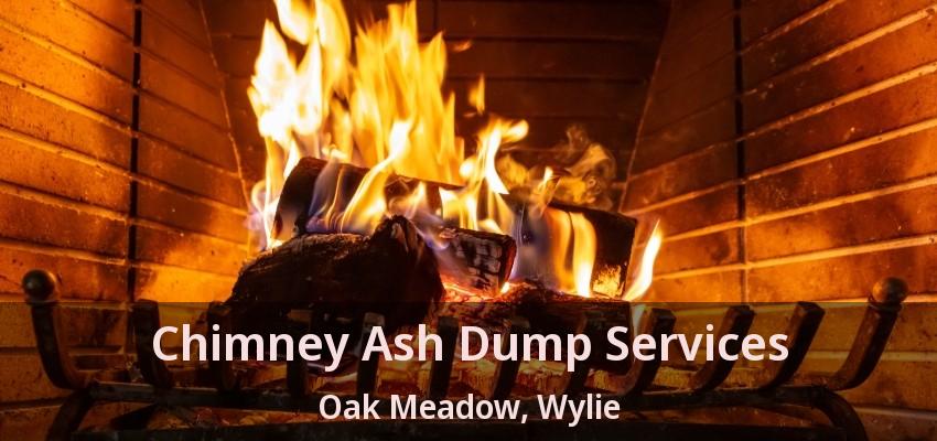 Chimney Ash Dump Services Oak Meadow, Wylie - TX
