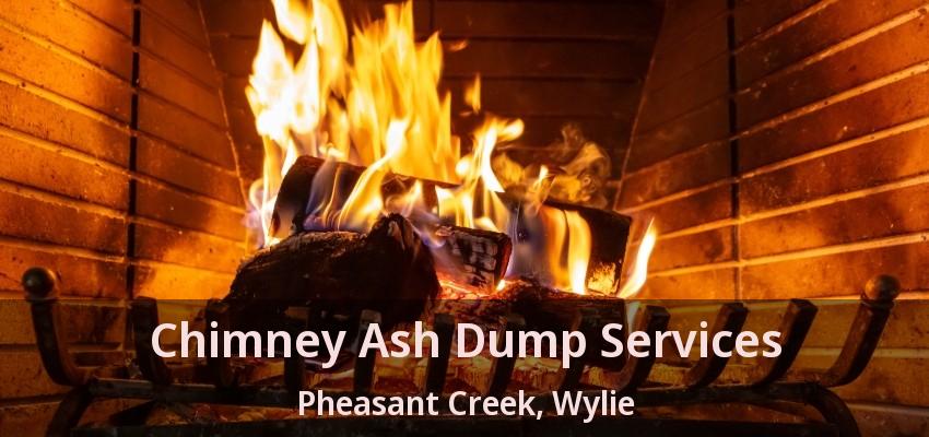 Chimney Ash Dump Services Pheasant Creek, Wylie - TX