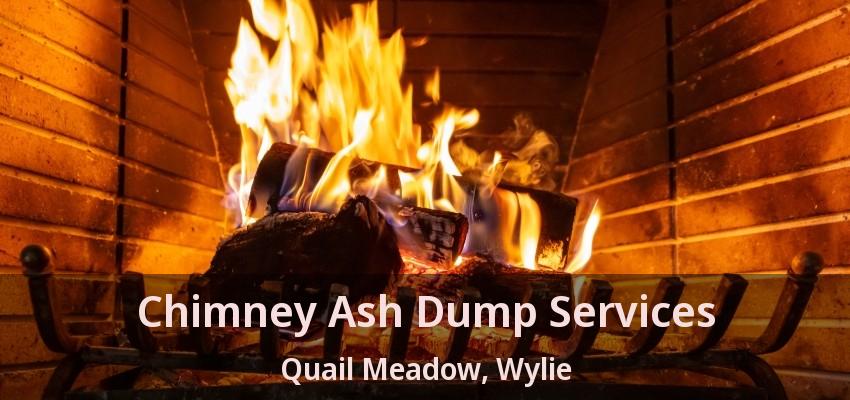 Chimney Ash Dump Services Quail Meadow, Wylie - TX