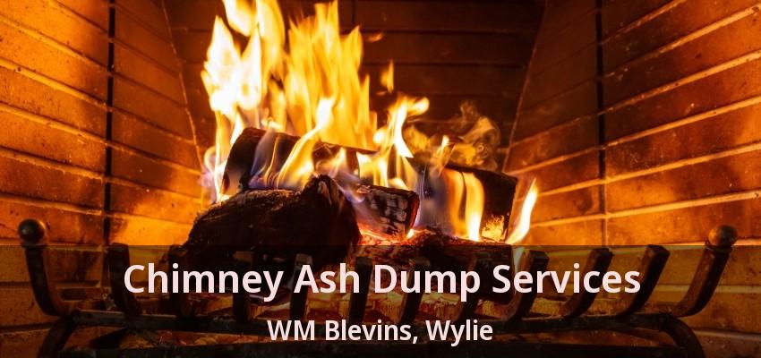 Chimney Ash Dump Services WM Blevins, Wylie - TX