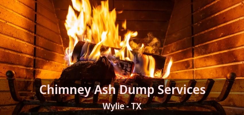 Chimney Ash Dump Services Wylie - TX