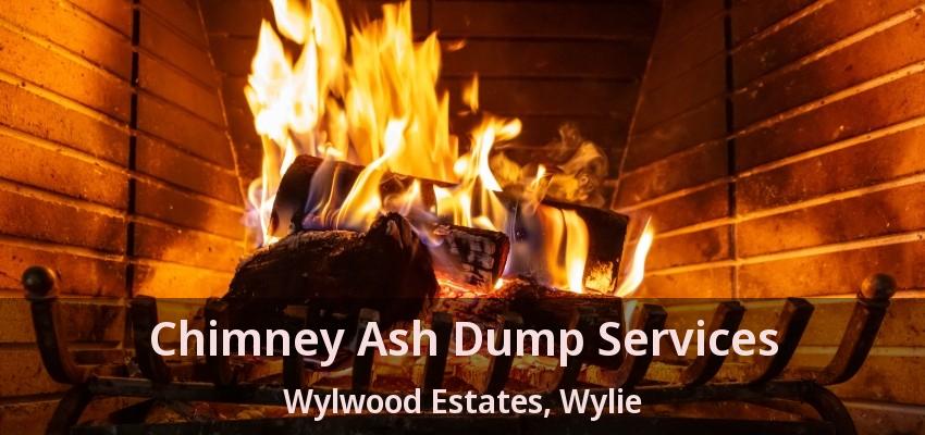 Chimney Ash Dump Services Wylwood Estates, Wylie - TX
