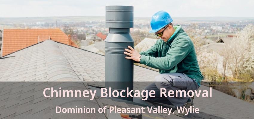 Chimney Blockage Removal Dominion of Pleasant Valley, Wylie - TX