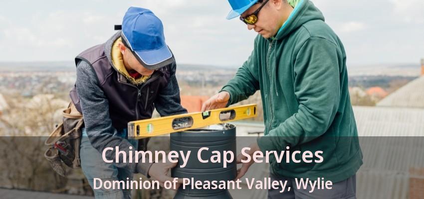 Chimney Cap Services Dominion of Pleasant Valley, Wylie - TX