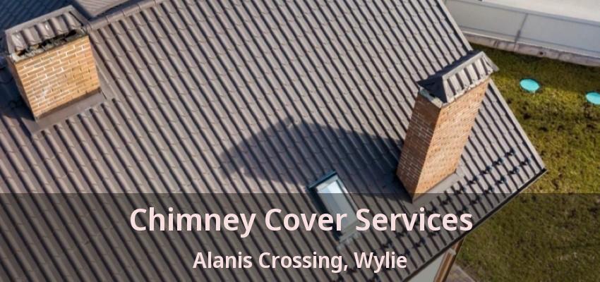 Chimney Cover Services Alanis Crossing, Wylie - TX