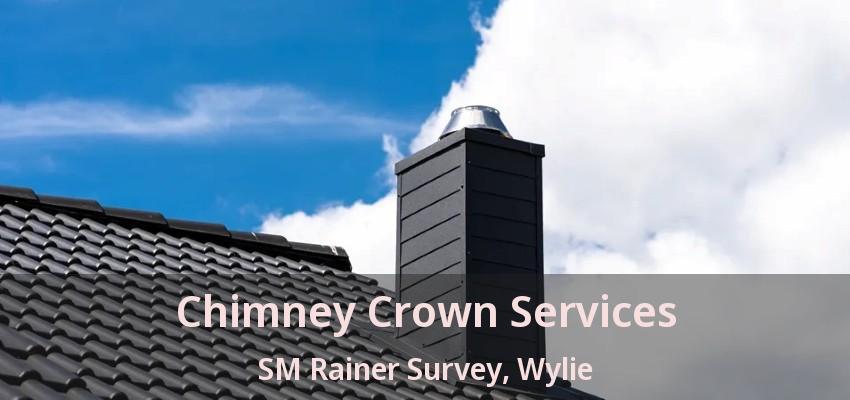 Chimney Crown Services SM Rainer Survey, Wylie - TX