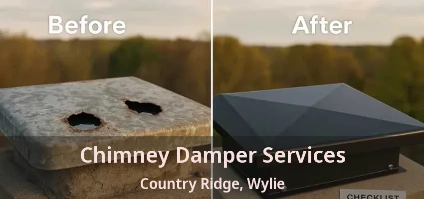 Chimney Damper Services Country Ridge, Wylie - TX