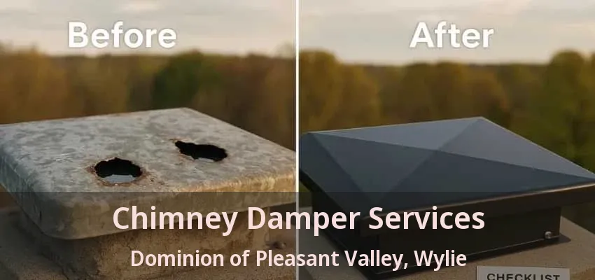 Chimney Damper Services Dominion of Pleasant Valley, Wylie - TX