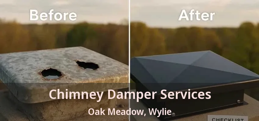 Chimney Damper Services Oak Meadow, Wylie - TX