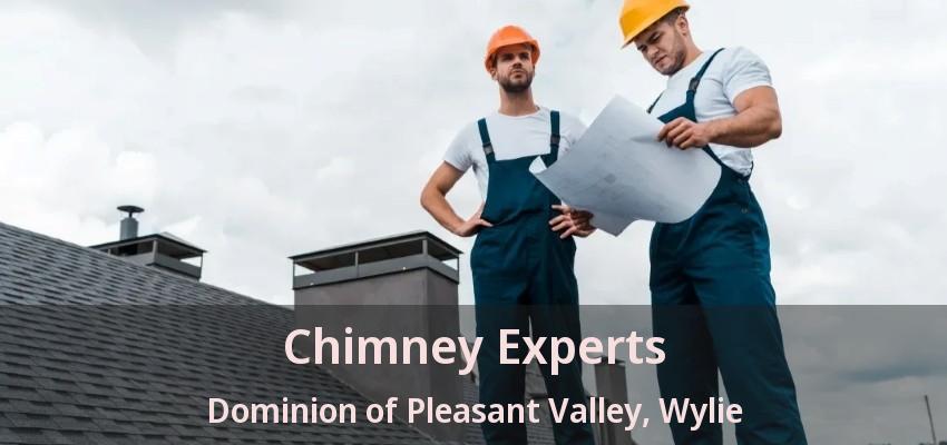 Chimney Experts Dominion of Pleasant Valley, Wylie - TX