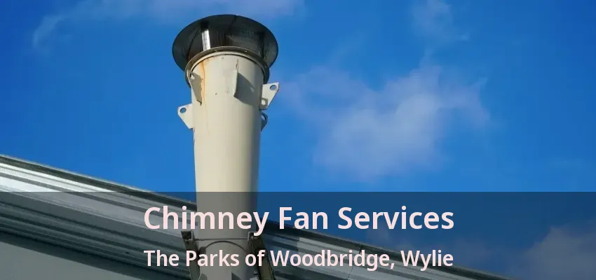 Chimney Fan Services The Parks of Woodbridge, Wylie - TX