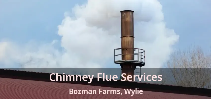 Chimney Flue Services Bozman Farms, Wylie - TX