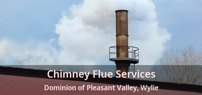 Chimney Flue Services Dominion of Pleasant Valley, Wylie - TX