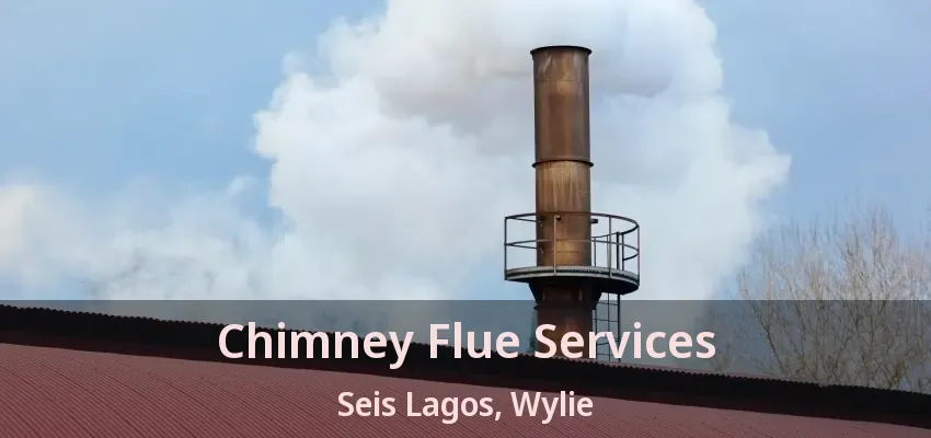 Chimney Flue Services Seis Lagos, Wylie - TX