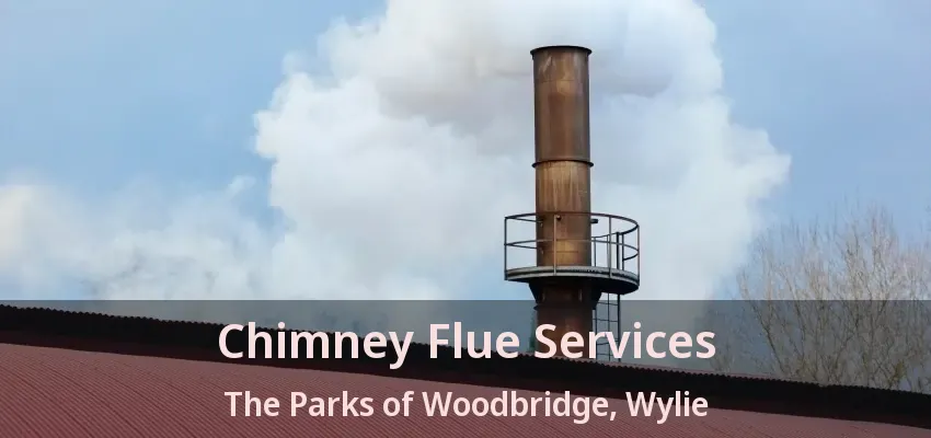 Chimney Flue Services The Parks of Woodbridge, Wylie - TX