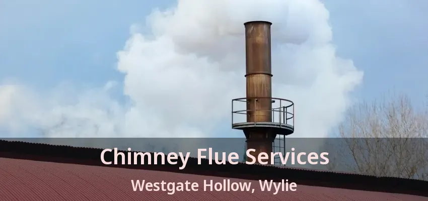 Chimney Flue Services Westgate Hollow, Wylie - TX