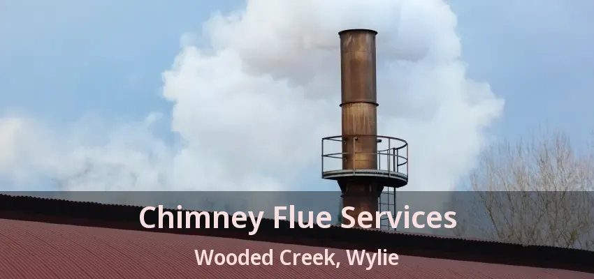 Chimney Flue Services Wooded Creek, Wylie - TX