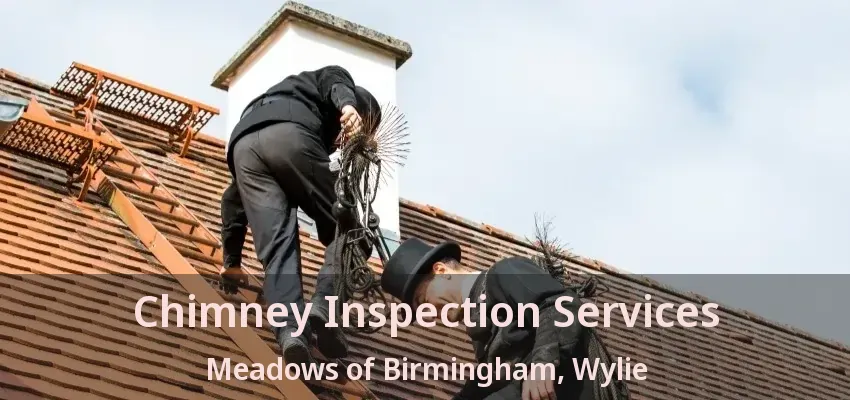 Chimney Inspection Services Meadows of Birmingham, Wylie - TX