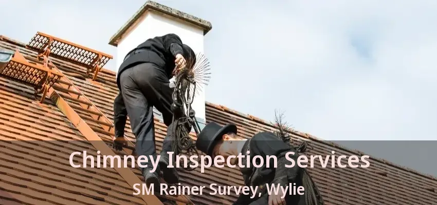 Chimney Inspection Services SM Rainer Survey, Wylie - TX