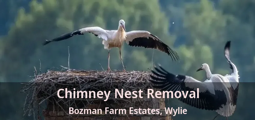 Chimney Nest Removal Bozman Farm Estates, Wylie - TX