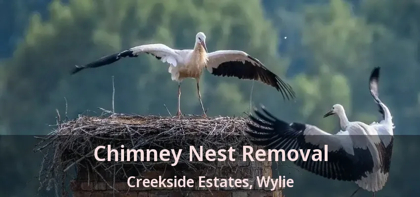 Chimney Nest Removal Creekside Estates, Wylie - TX