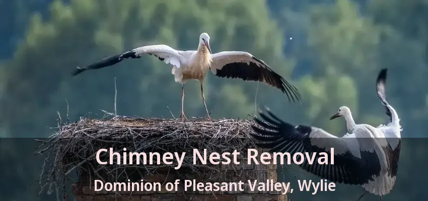 Chimney Nest Removal Dominion of Pleasant Valley, Wylie - TX
