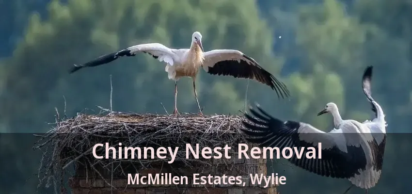 Chimney Nest Removal McMillen Estates, Wylie - TX