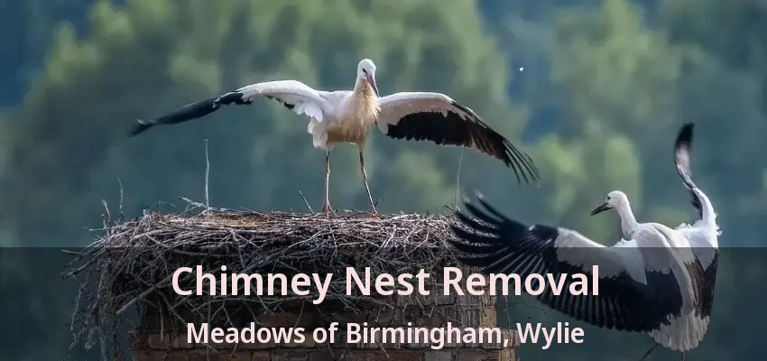 Chimney Nest Removal Meadows of Birmingham, Wylie - TX