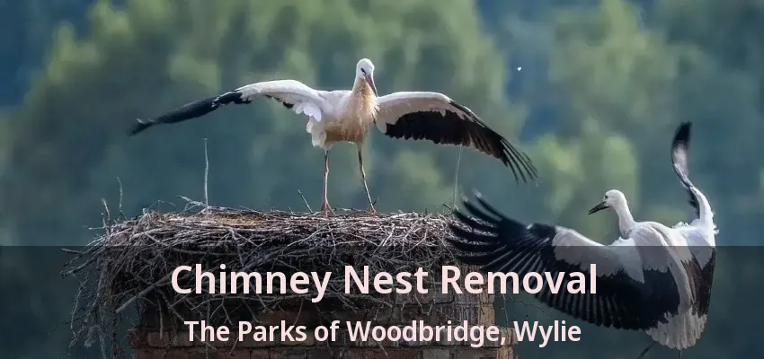 Chimney Nest Removal The Parks of Woodbridge, Wylie - TX
