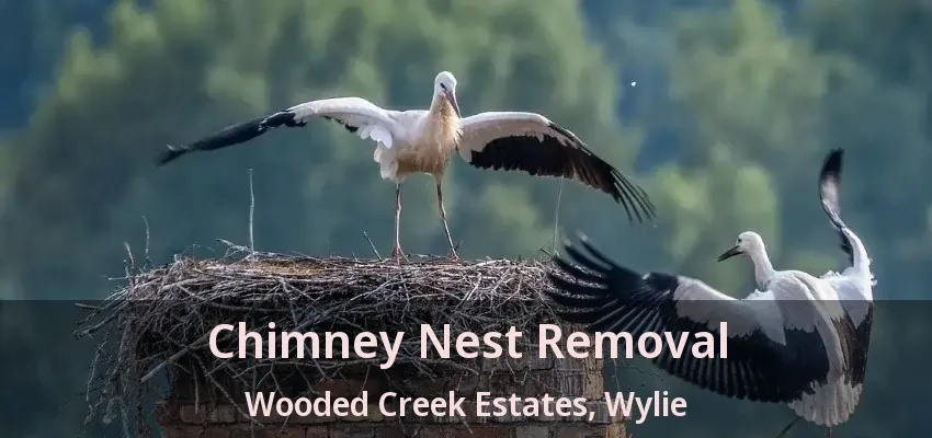 Chimney Nest Removal Wooded Creek Estates, Wylie - TX