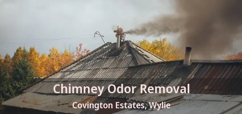 Chimney Odor Removal Covington Estates, Wylie - TX