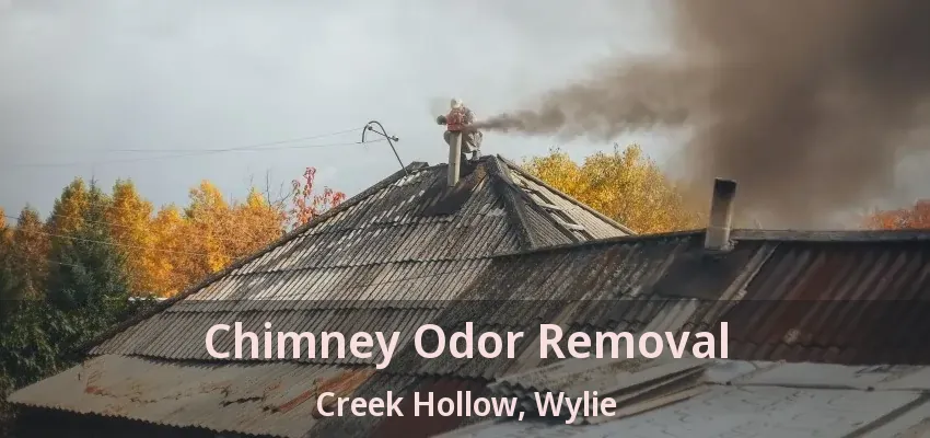 Chimney Odor Removal Creek Hollow, Wylie - TX