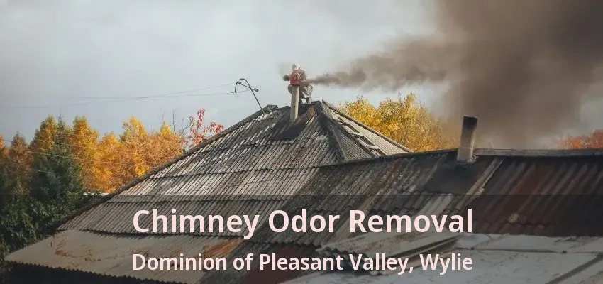 Chimney Odor Removal Dominion of Pleasant Valley, Wylie - TX