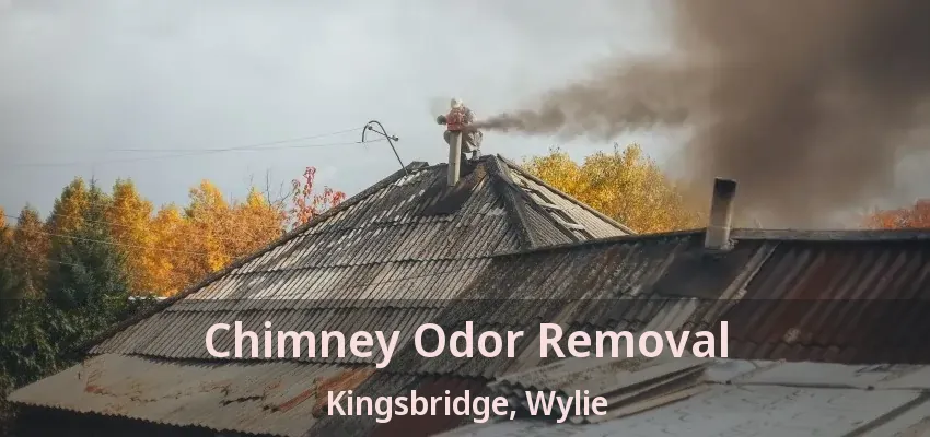 Chimney Odor Removal Kingsbridge, Wylie - TX