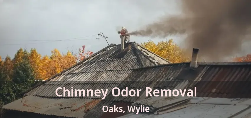 Chimney Odor Removal Oaks, Wylie - TX