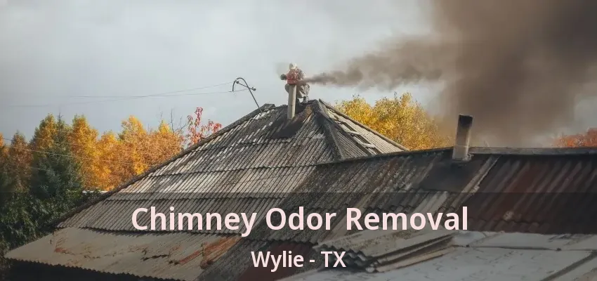 Chimney Odor Removal Wylie - TX
