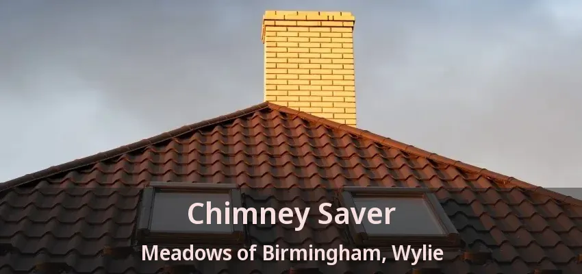 Chimney Saver Meadows of Birmingham, Wylie - TX