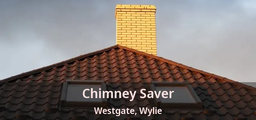 Chimney Saver Westgate, Wylie - TX