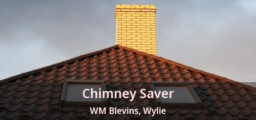 Chimney Saver WM Blevins, Wylie - TX