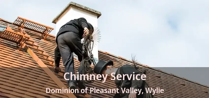 Chimney Service Dominion of Pleasant Valley, Wylie - TX