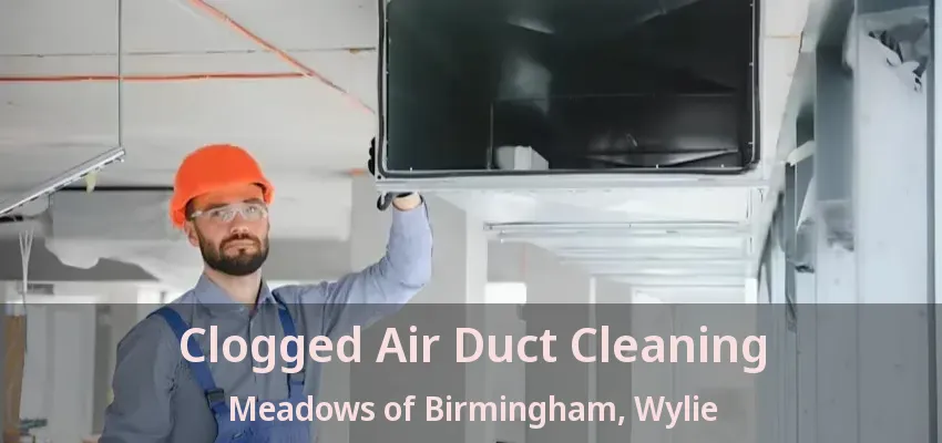 Clogged Air Duct Cleaning Meadows of Birmingham, Wylie - TX