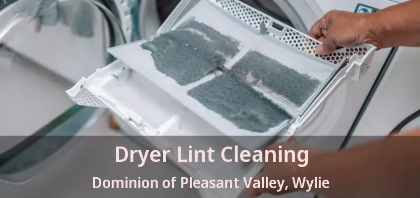 Dryer Lint Cleaning Dominion of Pleasant Valley, Wylie - TX